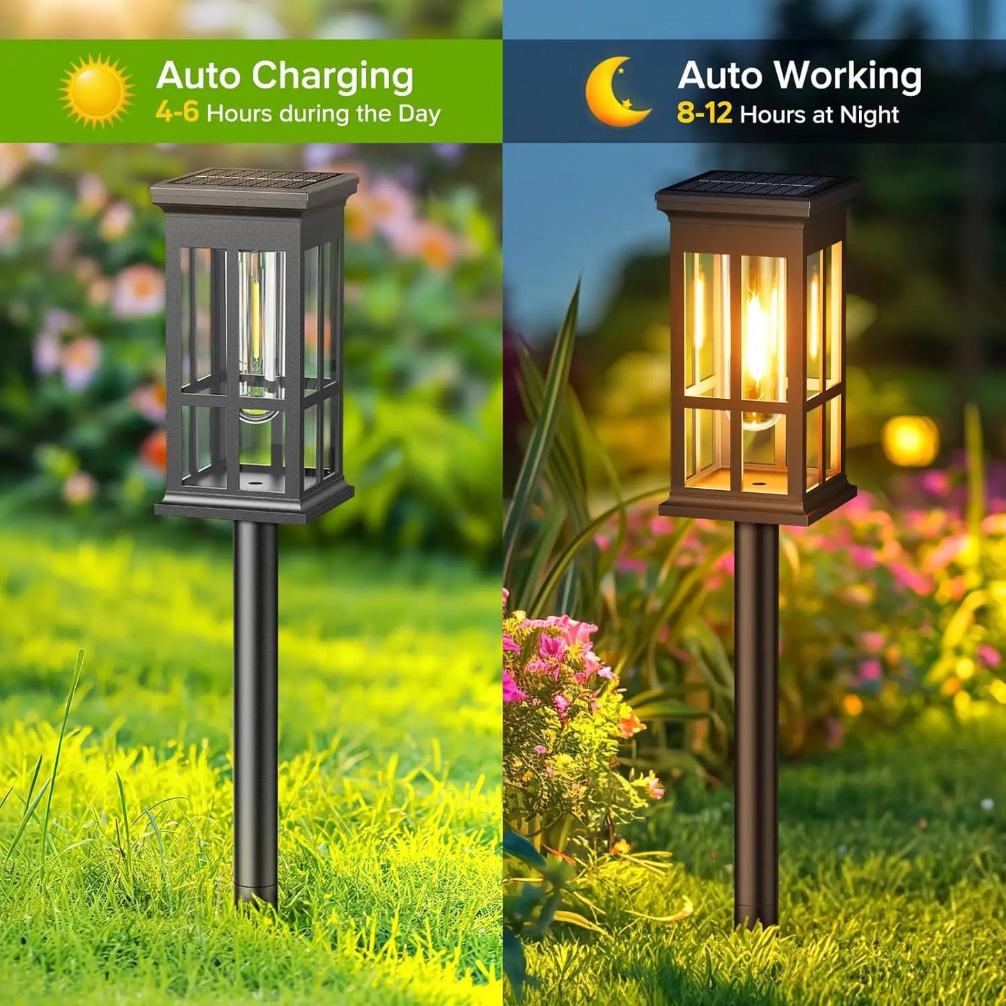 2 Pack 6 Pack 8 Pack Solar Pathway Lights Modern Style LED Bulbs Ni-MH Power Source